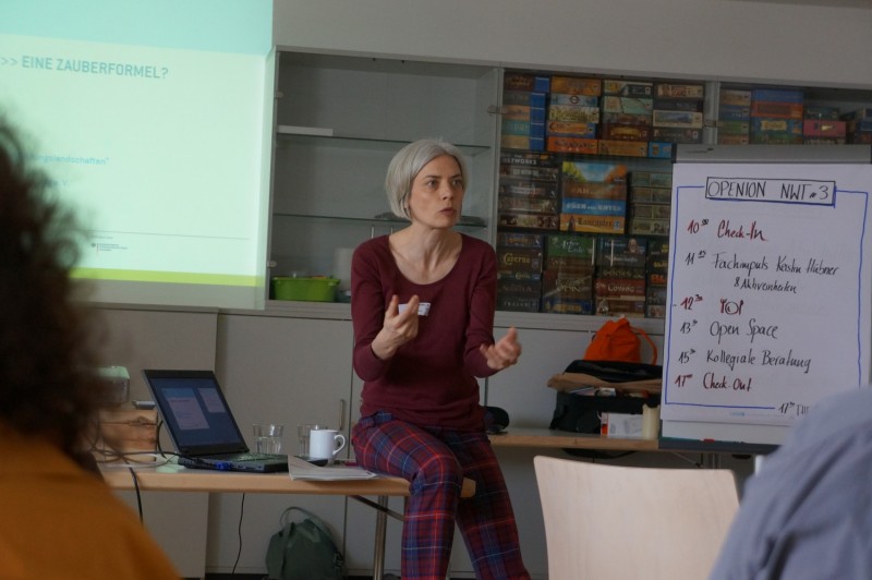 Kerstin Hübner von der BKJ hält bei einem OPENION-Netzwerktreffen einen Vortrag